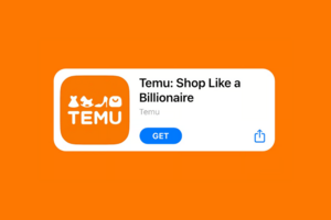 Jak na online nákupy přes Temu a na co si dát pozor při nákupu?