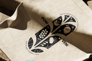 Case Study Poni Veni: E-shop s růstem tržeb +15 % YoY