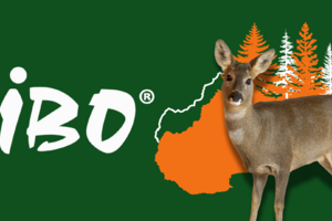 Jak jsme zrychlili lovecký a zahradnický web pro ještě zelenější čísla