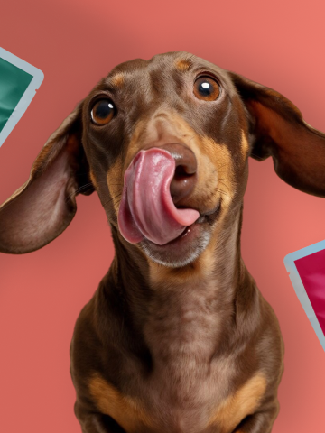 Případová studie Louie