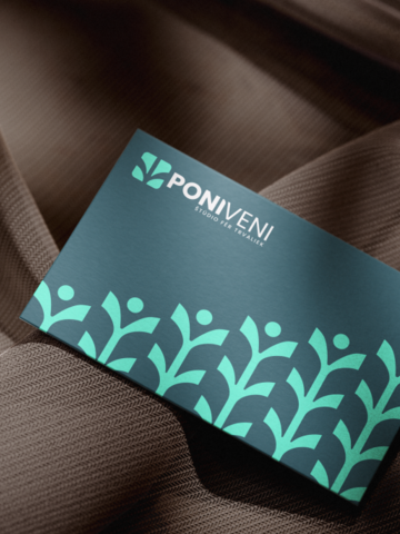 Case study Poni Veni 
