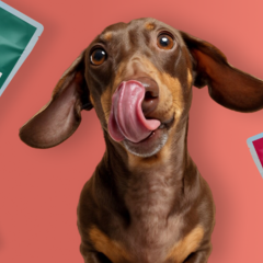 Případová studie Louie