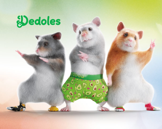 Dedoles | Case Study