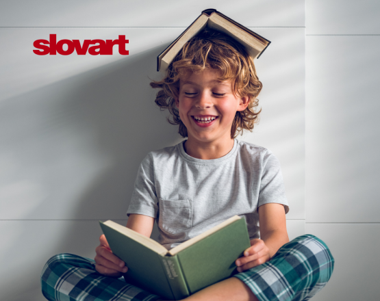 Slovart | Case Study