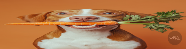 Pes držící mrkev v tlamě na oranžovém pozadí