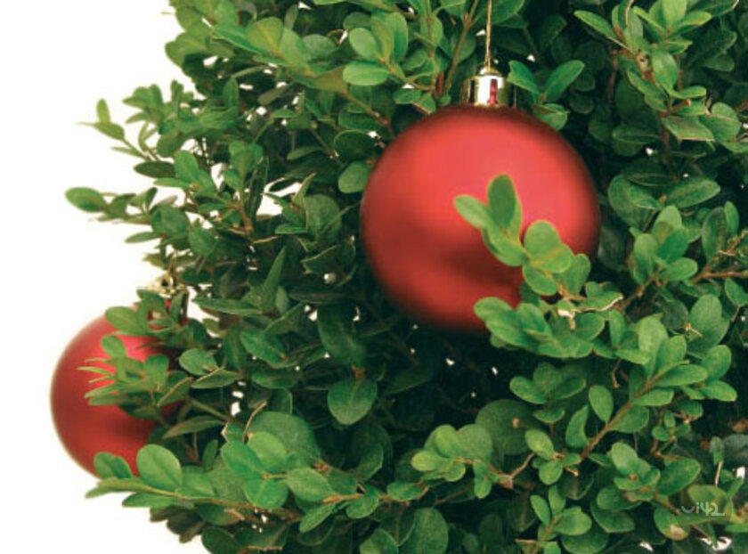 Vánoční ozdoba na zelené větvičce