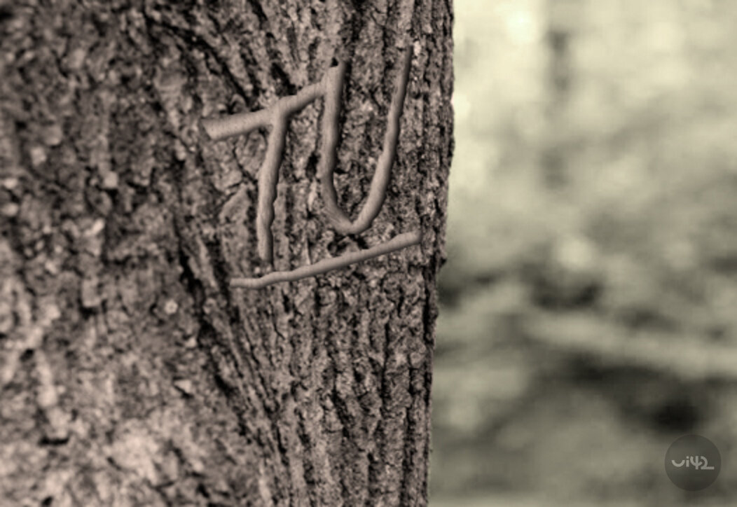 odkaz zde na stromě odkaz zde na stromě