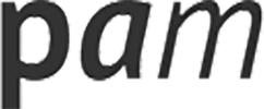 The text
