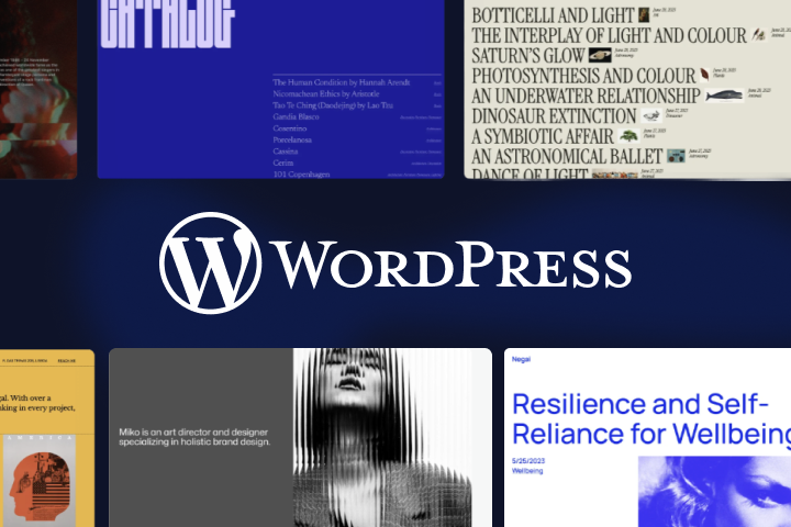 Web na WordPressu